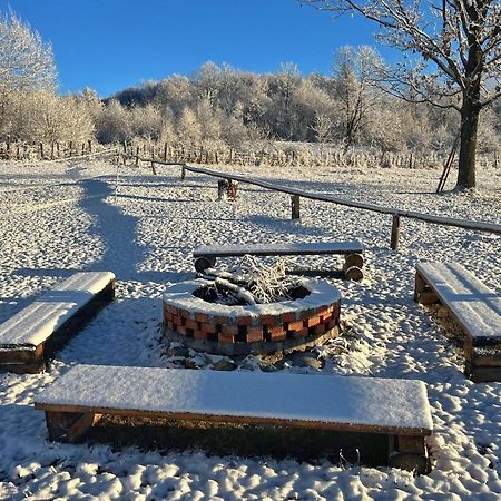 Casuta Din Stejari-Transalpina Vila Novaci-Străini Exterior foto