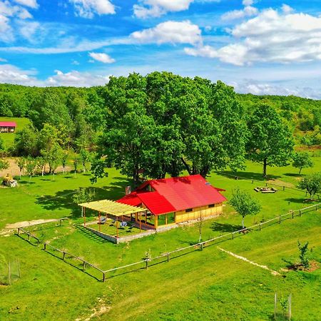 Casuta Din Stejari-Transalpina Vila Novaci-Străini Exterior foto