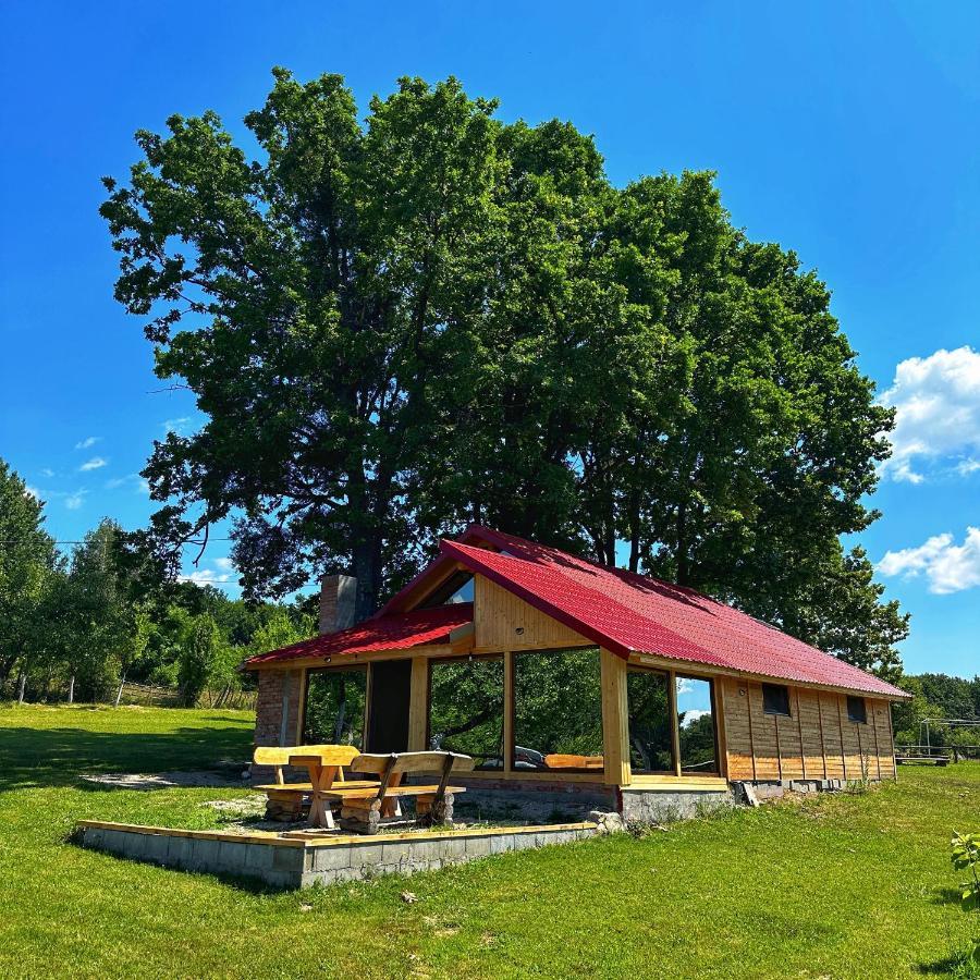 Casuta Din Stejari-Transalpina Vila Novaci-Străini Exterior foto