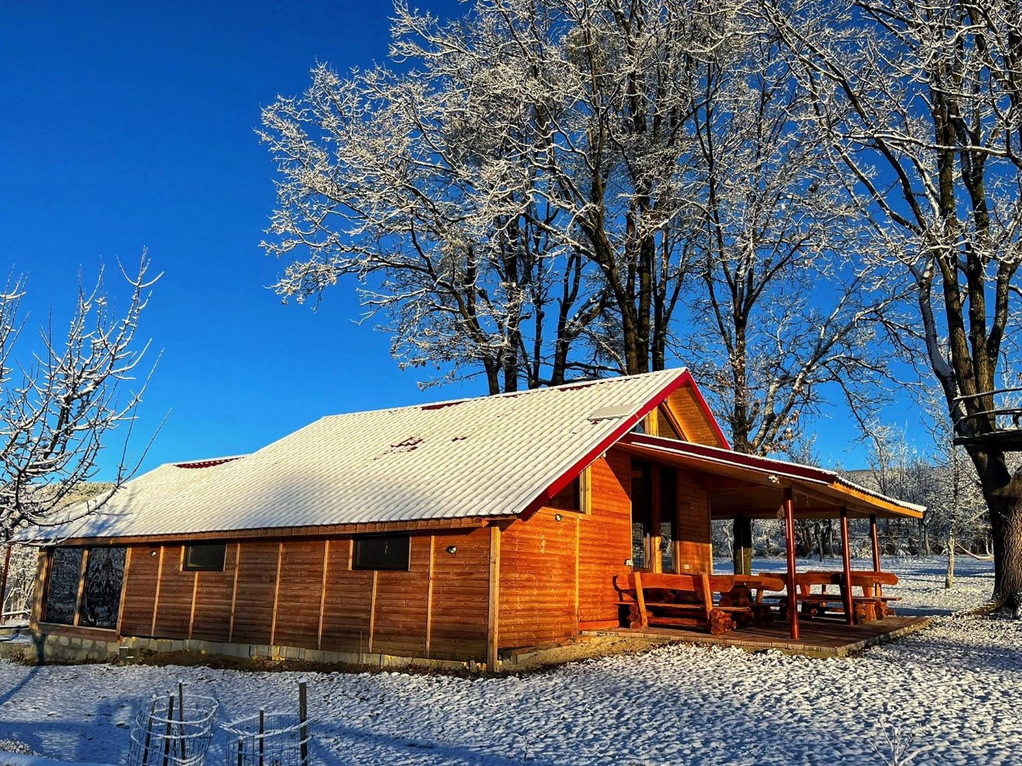 Casuta Din Stejari-Transalpina Vila Novaci-Străini Exterior foto
