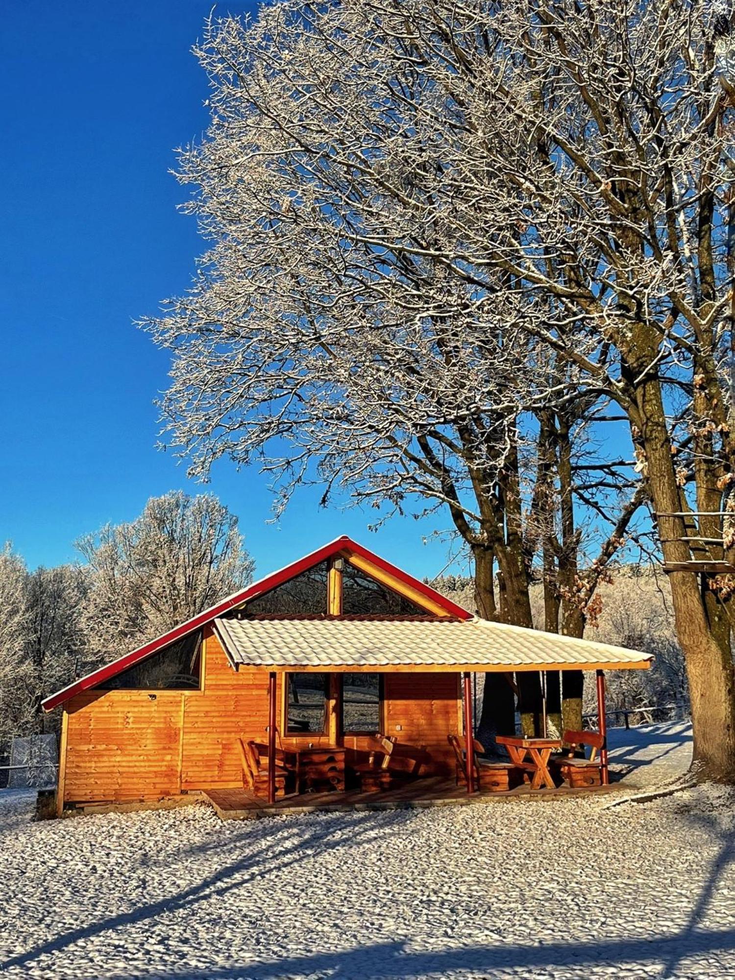 Casuta Din Stejari-Transalpina Vila Novaci-Străini Exterior foto