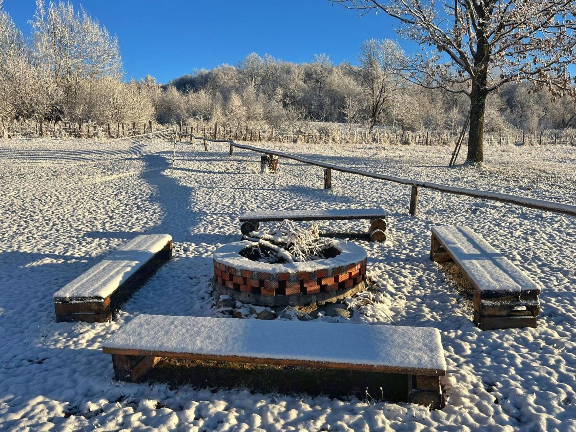 Casuta Din Stejari-Transalpina Vila Novaci-Străini Exterior foto