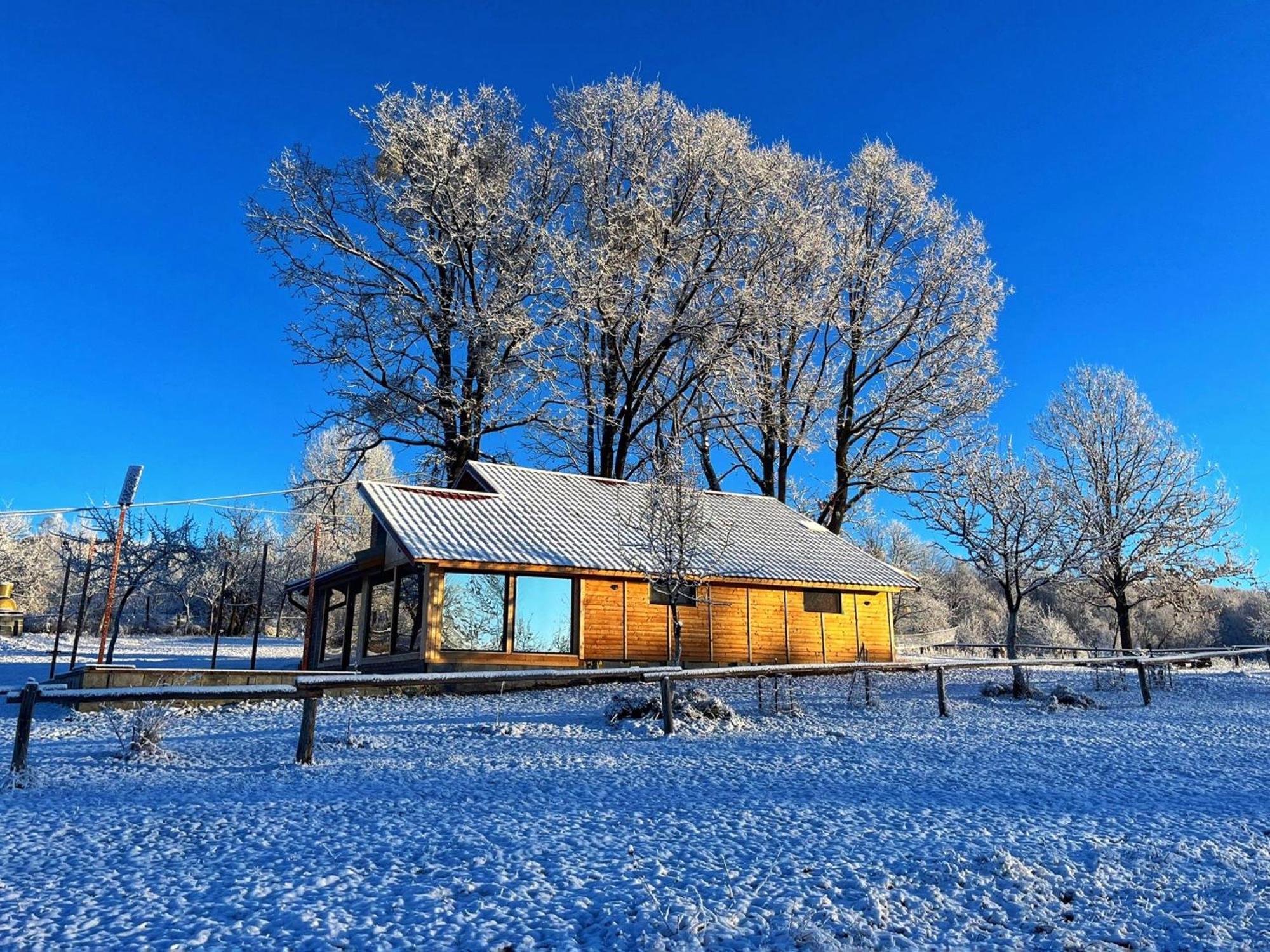 Casuta Din Stejari-Transalpina Vila Novaci-Străini Exterior foto