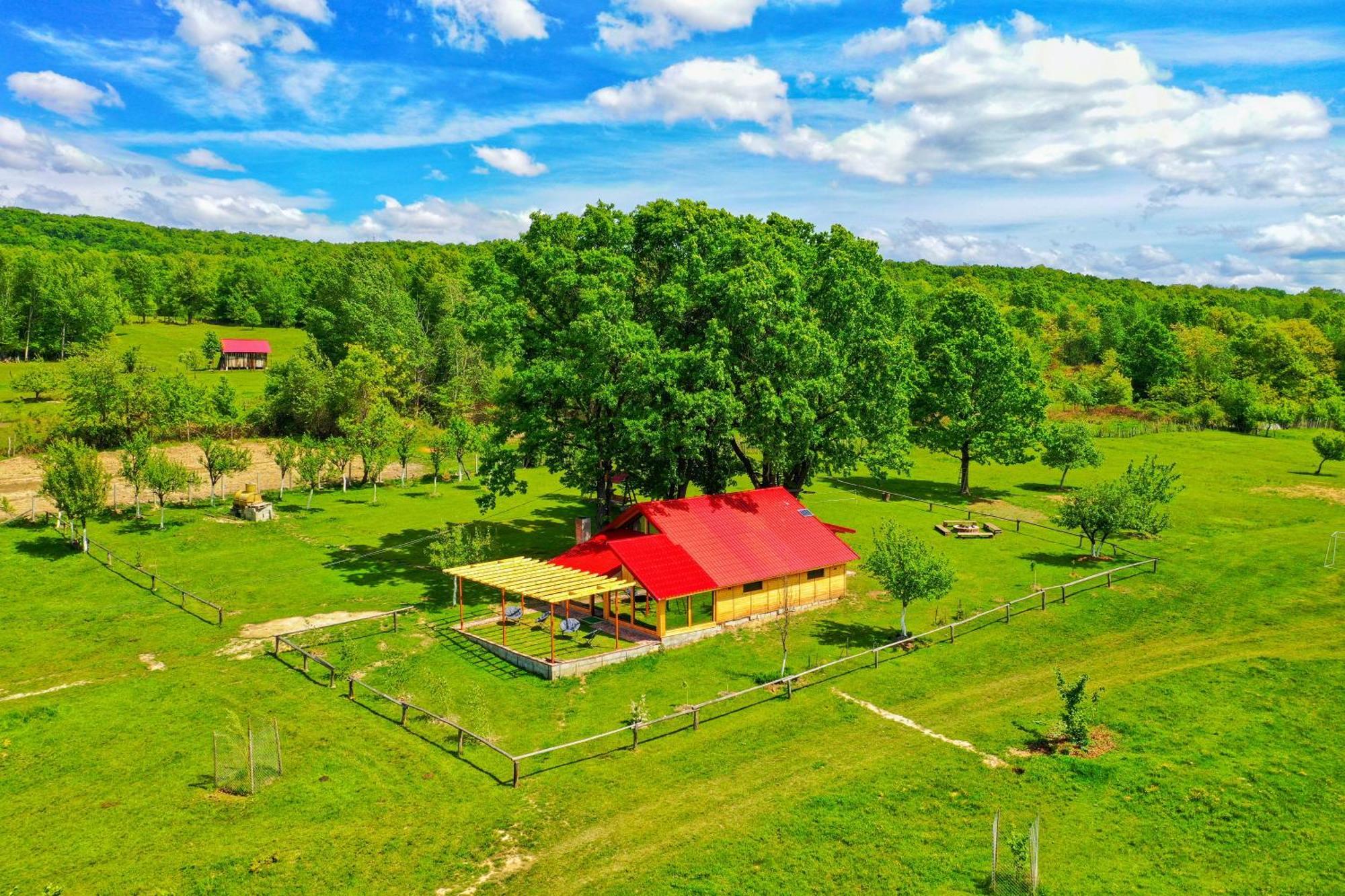 Casuta Din Stejari-Transalpina Vila Novaci-Străini Exterior foto
